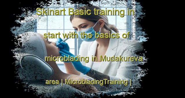 Skinart Basic training in start with the basics of microblading in Mudakureva area | MicrobladingTraining | MicrobladingClasses | SkinartTraining-Zimbabwe